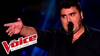 Video thumbnail of "Jacques Brel - Ces gens là | Yoann Launay | The Voice France 2015 | Blind Audition"