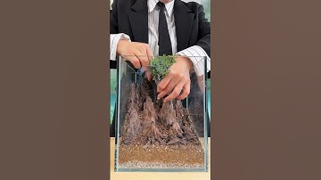 making a mini moon garden