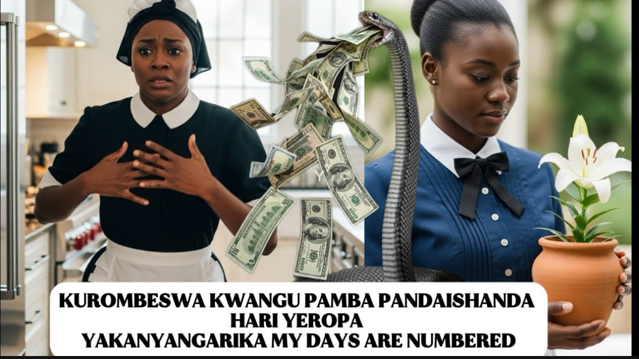 KUROMBESWA KWANGU PAMBA PANDAISHANDA HARI YEROPA YAKANYANGARIKA MY DAYS ARE NUMBERED