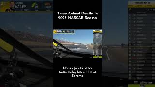 Sonoma Includes Third Animal Death in 2025 NASCAR Cup Series Season