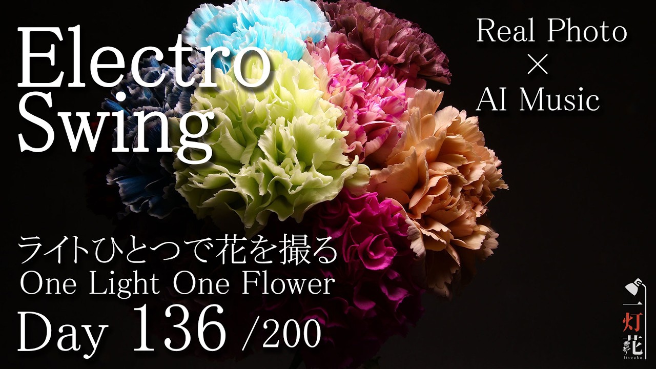 Electro Swing》carnation| Flower Music ｜ 一灯花 -136