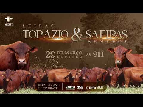 LOTE 73 - GRAMA 7187