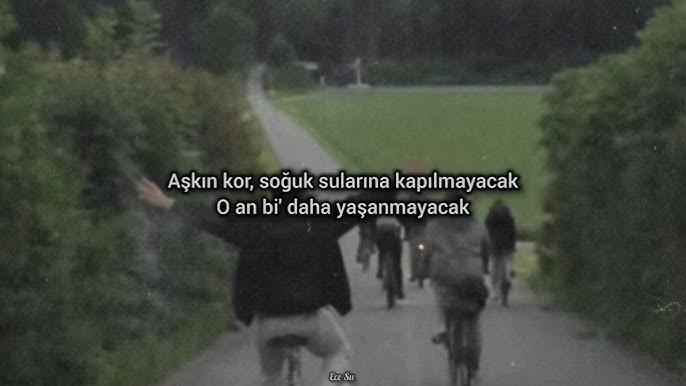 Homilador jinsiy aloqa dumba Kocha ovorasi Filipp