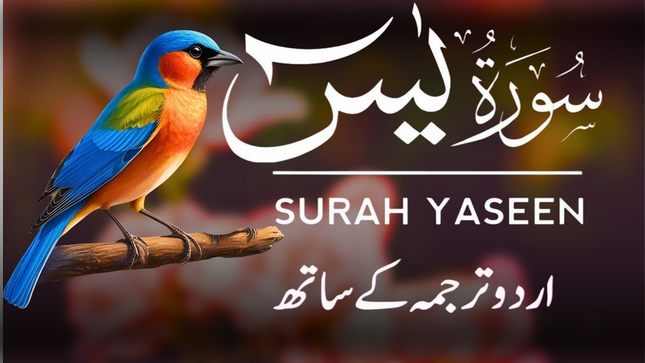 Surah Yaseen | Surah Yaseen With Urdu Translation | Al Furqan Studio | Ep016