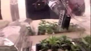 So Ya Wanna Grow #10: The Sun Cell Growbox [2of3]