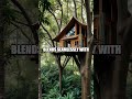 The Enchanted Treehouse of Finca Bellavista