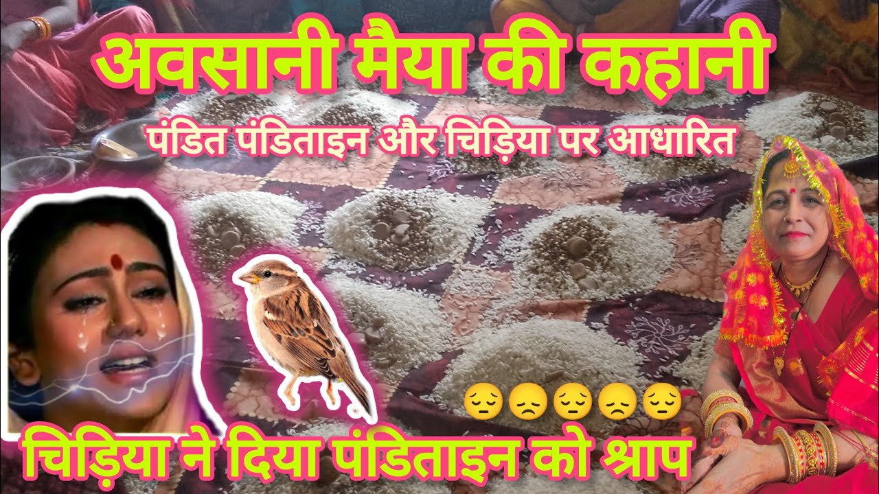 अवसानी माता की कहानी ll पंडित पंडिताइन को दिया चिड़िया ने श्राप ll #avsanmaiyakikahani