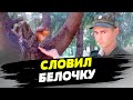 Оккупант поймал белочку и переплыл Днепр: прямо в плен ВСУ!