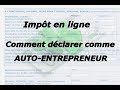 Autoentrepreneur  comment dclarer vos impts en ligne tutoriel avec les cases  remplir