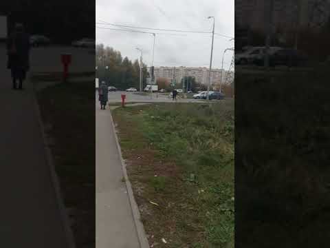 Стая собак нападают на прохожих в Пензе