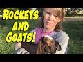 Rockets &amp; A Lost Goat!