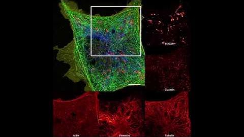 Automating multimodal microscopy with NanoJ-Fluidics