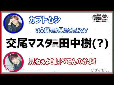 【SixTONES】謎に交尾に詳しい田中樹。それに冷めてるジェシー。