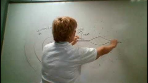 Structure of the Milky Way