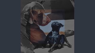Opia (Instrumental MIX)