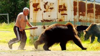 Unexpected Encounters With a Bear. Hungry Bears Attack Cities And Villages. by Victorious Nature 16,558 views 4 months ago 10 minutes, 47 seconds