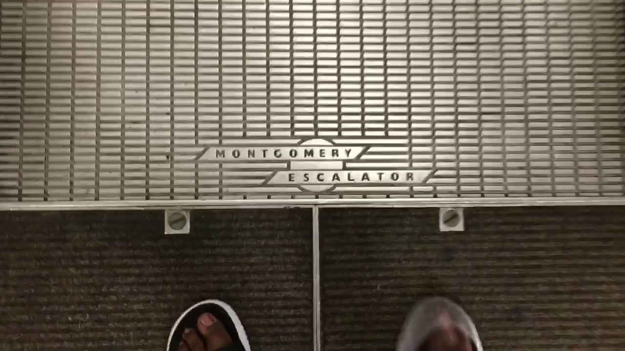 Montgomery Escalators Dillard’s Women, Cordova Mall, Pensacola FL