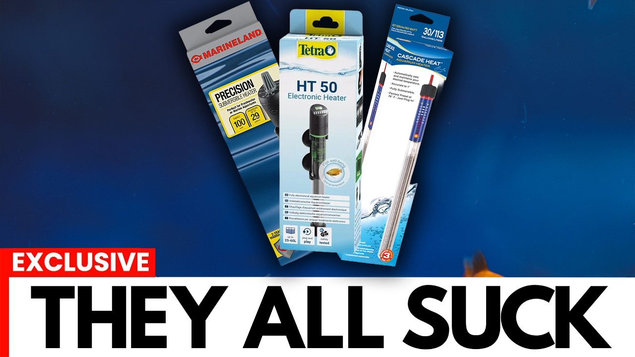 Don't Buy an Aquarium Heater Until You Watch This (Tierlist)