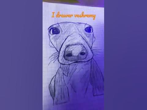 I drew veshremy -@Veshremy - YouTube