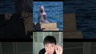 Evidence Of Real Mermaid