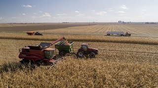 China Expected to Make ‘Enormous’ U.S. Agriculture Purchases: USDA