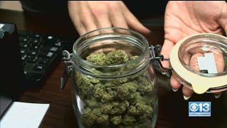 Pot Shop Investigation