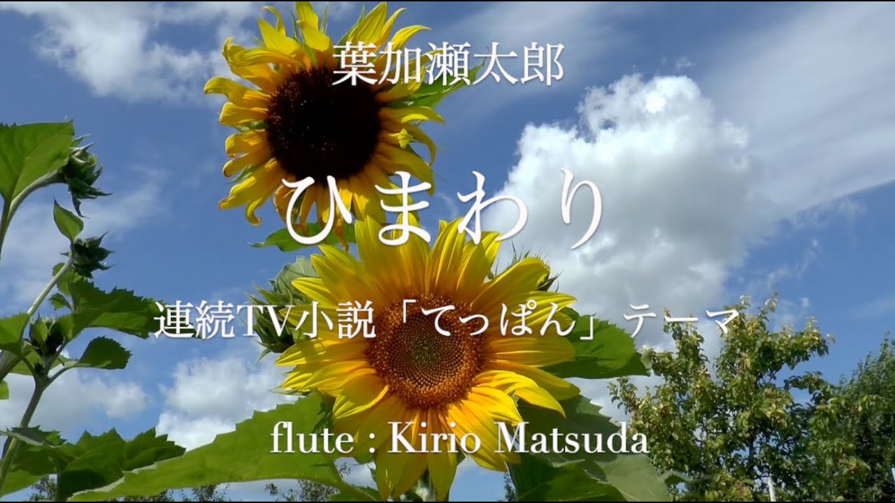 ひまわり（葉加瀬太郎）flute : Kirio Matsuda