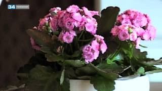 PostScriptum 2013 10 20 HD 4