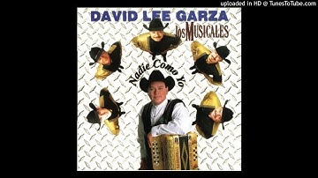 David Lee Garza - Me Vuelvo A Enamorar (1999)