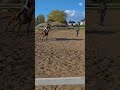 pierwszy galop na pradusi 💞 #horse #hobbyhorse #equestrian