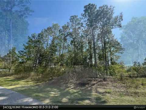 16120 DRACENA DRIVE, Brooksville, FL home video tour