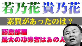 【若貴】若乃花と貴乃花 素質があるのはどっち？藤島部屋が強くなった最大の功労者はあの人だった
