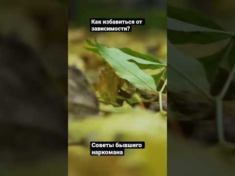 Как избавиться от зависимости? Советы бывшего наркомана. Программа 12 шагов