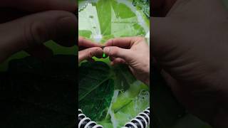 Крутой светлячок для донной снасти #рыбалка #ловля #природа #донка #shorts #short #fishing #fish