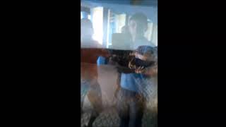 Scary Anaconda Of 12 Meters Dead On 1962 Amazon Ustadora Sucurijú De 12 Metros