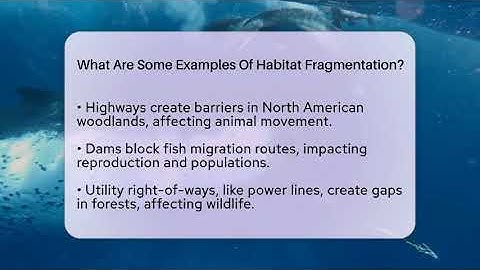 What Are Some Examples Of Habitat Fragmentation? - Ecosystem Essentials