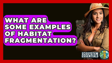 What Are Some Examples Of Habitat Fragmentation? - Ecosystem Essentials
