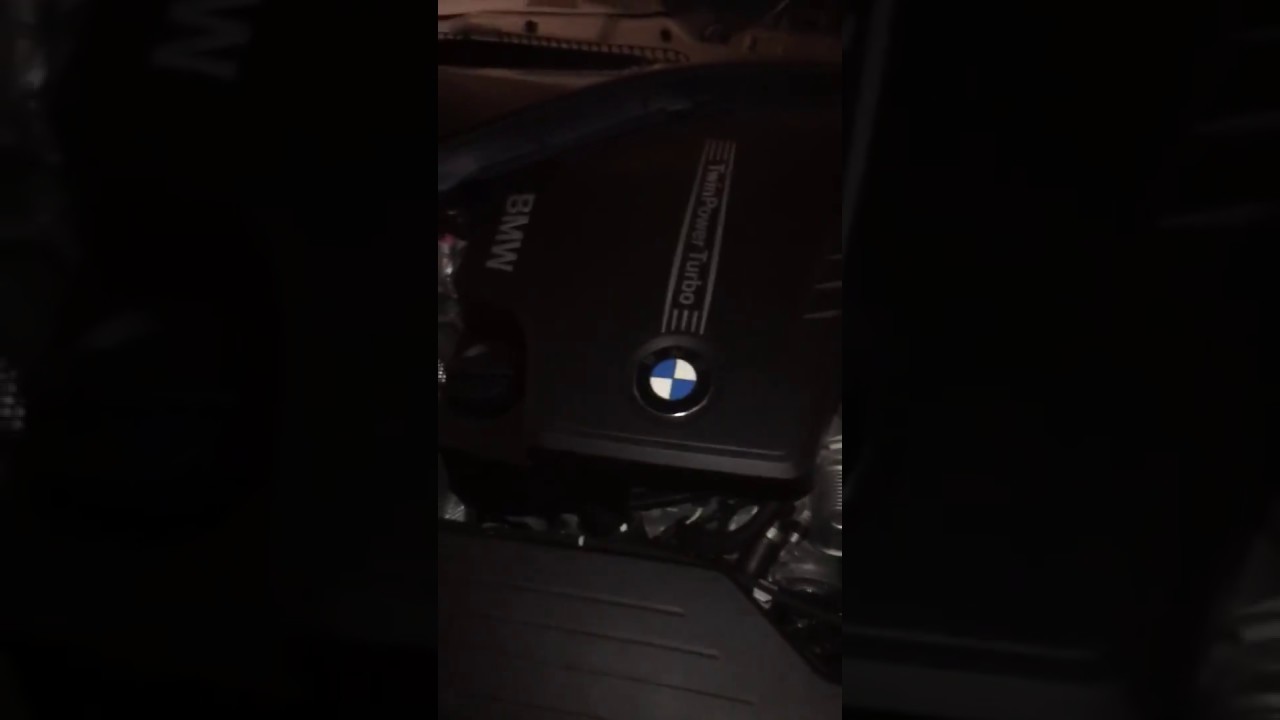 BMW 328i N20 Engine Noise (Timing Chain?) YouTube
