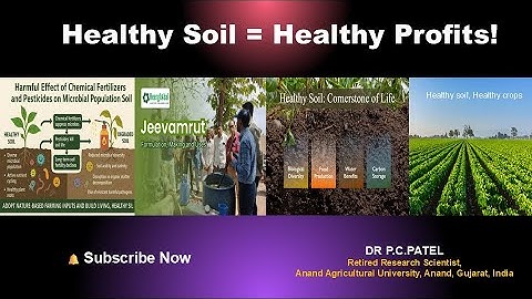 Healthy Soil = Healthy Profits!- Dr P. C. Patel