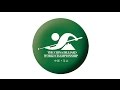 2017 Chinese Pool World Championships 中式台球世錦賽│Mark Williams vs Radoslam Babica