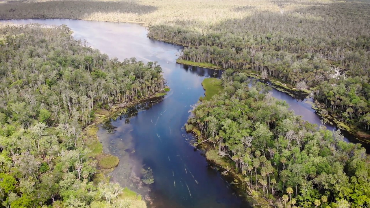 Virtual Visits: Chassahowitzka River - YouTube