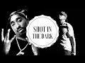 "Shot In The Dark" - Eminem / 2Pac Old School Type Beat Instrumental 2015 - 2016 [by:TrizzyTriss]