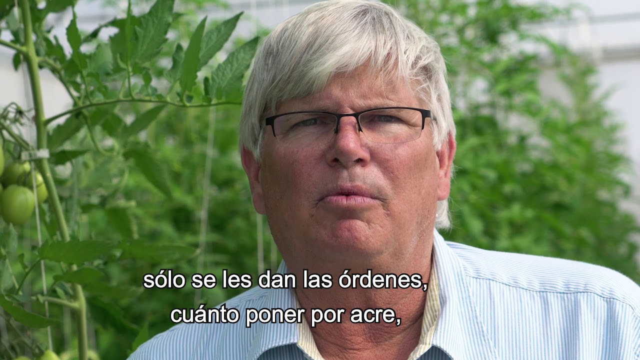 SOL TEST Tomate Tony Bruneman JD Produce V01 FHD