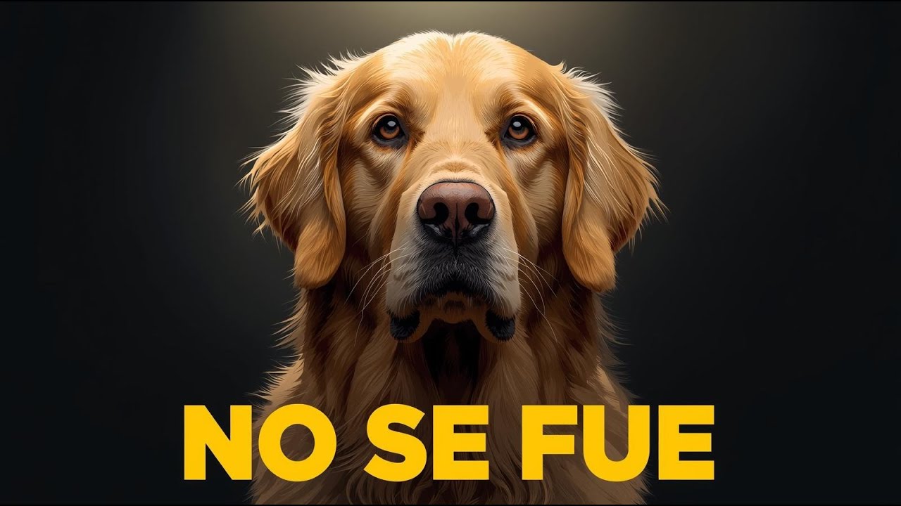 Si Supieras Dónde Está Tu Mascota Ahora… Nunca Volverías a Ver La Muerte Igual