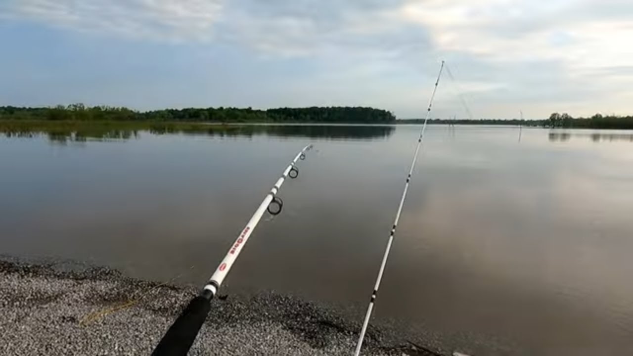 CATFISHING 2021 (ON KAYAK AND BANK) YouTube