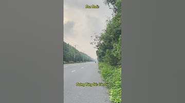 Đường rừng sác Cần Giờ buổi sáng không khí mát mẻ và trong lành #cangio #rungsac #hochiminhcity