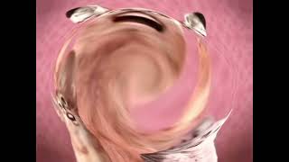 Animated Sport Music Video Numa Cat El Super Low Pitched