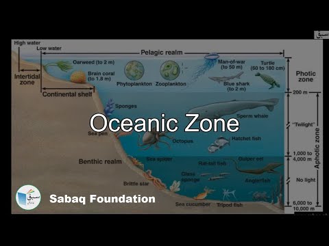 Oceanic zone , Biology Lecture | Sabaq.pk |