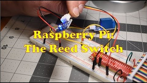 Raspberry Pi Reed Switch