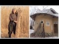 Phragmites Reed Collection for Thatched Roof